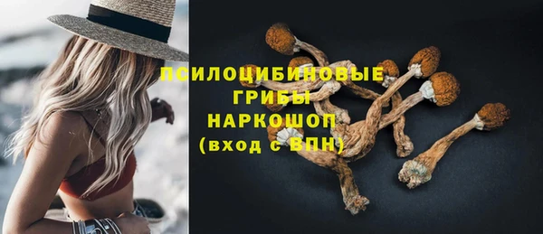 спиды Горно-Алтайск