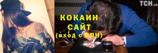 прущие крисы Вяземский