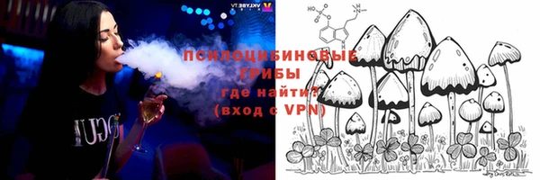 соль ск Вязники