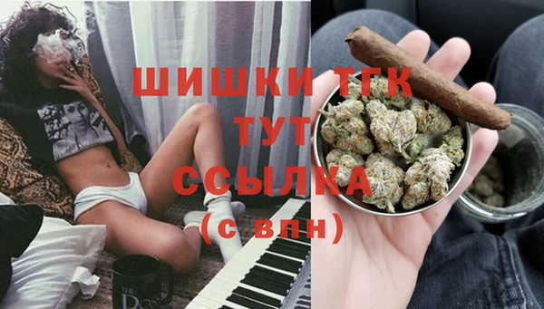 спиды Горно-Алтайск