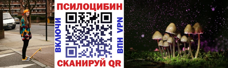 что такое наркотик  Зубцов  blacksprut ТОР  Псилоцибиновые грибы GOLDEN TEACHER 